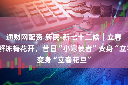 通财网配资 新民·新七十二候｜立春：东风解冻梅花开，昔日“小寒使者”变身“立春花旦”