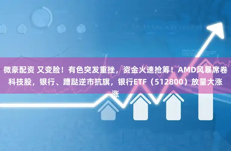 微豪配资 又变脸！有色突发重挫，资金火速抢筹！AMD风暴席卷科技股，银行、蹧跶逆市抗旗，银行ETF（512800）放量大涨