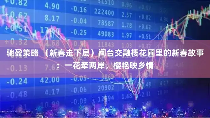 驰盈策略 （新春走下层）闽台交融樱花圃里的新春故事：一花牵两岸，樱艳映乡情