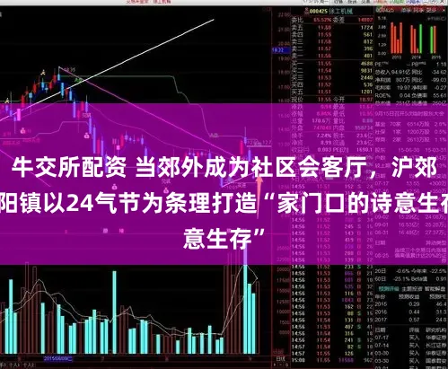 牛交所配资 当郊外成为社区会客厅，沪郊山阳镇以24气节为条理打造“家门口的诗意生存”
