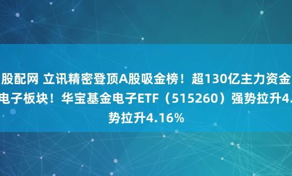 股配网 立讯精密登顶A股吸金榜！超130亿主力资金涌入电子板块！华宝基金电子ETF（515260）强势拉升4.16%
