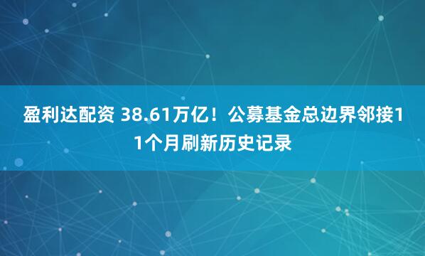 盈利达配资 38.61万亿！公募基金总边界邻接11个月刷新历史记录