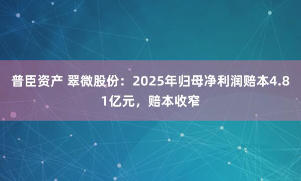 普臣资产 翠微股份：2025年归母净利润赔本4.81亿元，赔本收窄