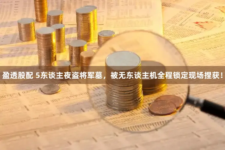 盈透股配 5东谈主夜盗将军墓,被无东谈主机全程锁定现场捏获!