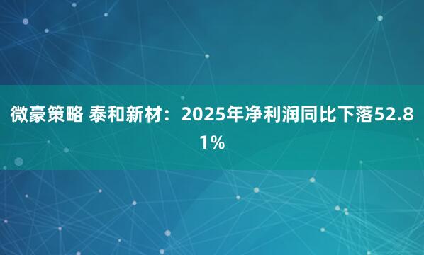 微豪策略 泰和新材:2025年净利润同比下落52.81%