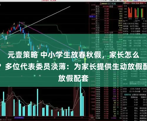 元壹策略 中小学生放春秋假，家长怎么办？多位代表委员淡薄：为家长提供生动放假配套