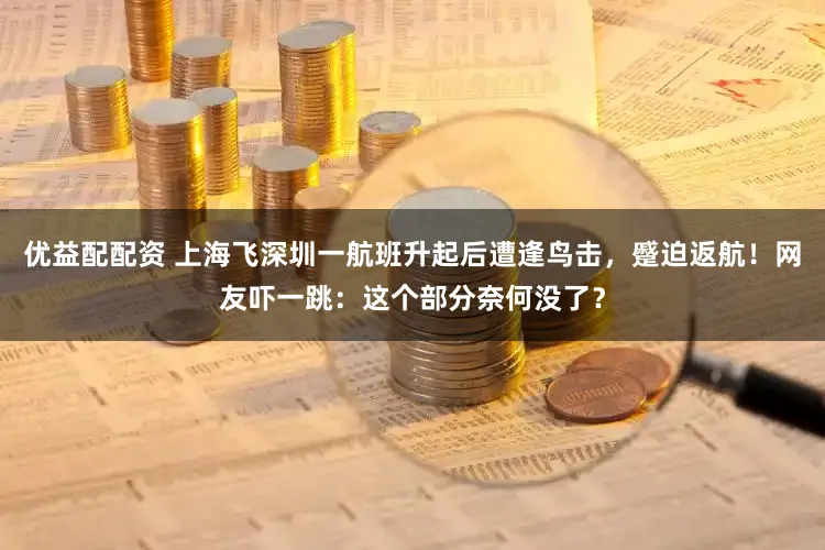 优益配配资 上海飞深圳一航班升起后遭逢鸟击，蹙迫返航！网友吓一跳：这个部分奈何没了？