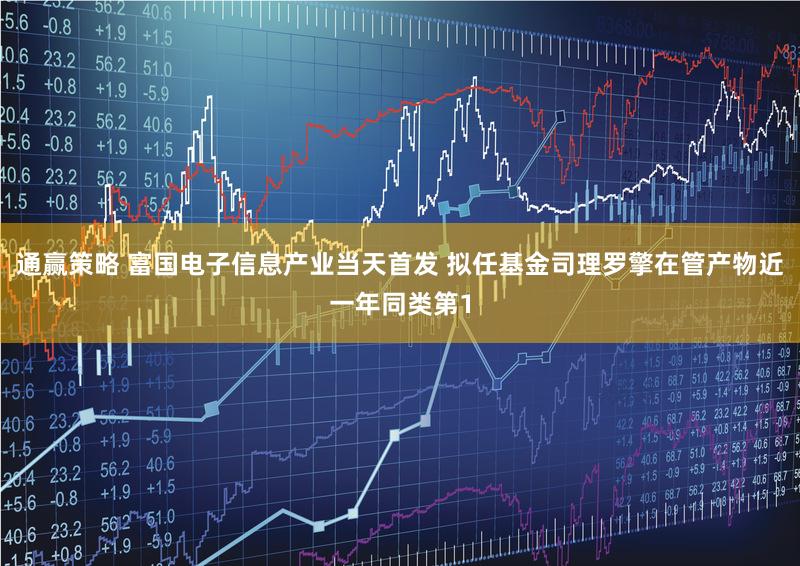 通赢策略 富国电子信息产业当天首发 拟任基金司理罗擎在管产物近一年同类第1