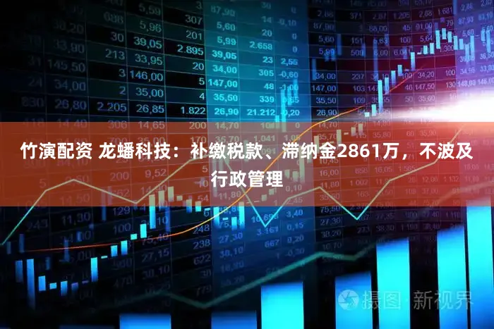 竹演配资 龙蟠科技：补缴税款、滞纳金2861万，不波及行政管理